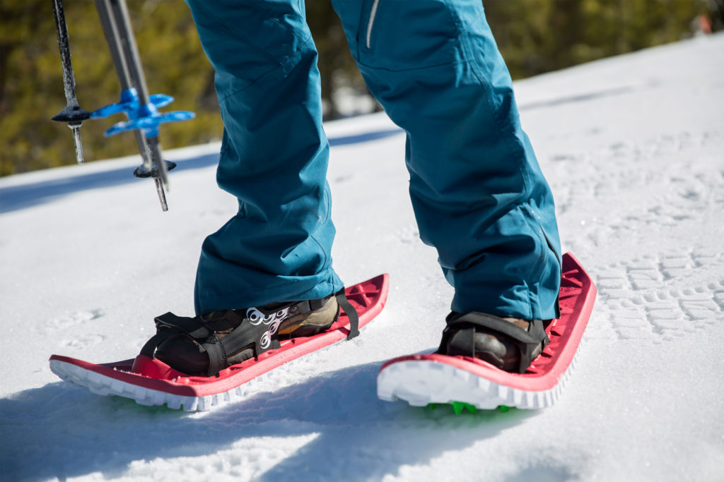 Snowshoeing in Spring Conditions